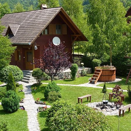 Nagy Lak Ii. Villa Sub Cetate Ngoại thất bức ảnh